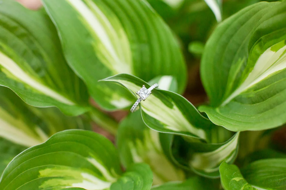 Diamond engagement ring from Blue Nile