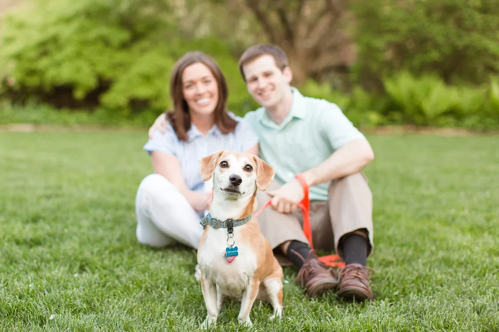 Cute rescue dog with his engaged parents behind him | Garden engagement photos in Warrenton, Virginia