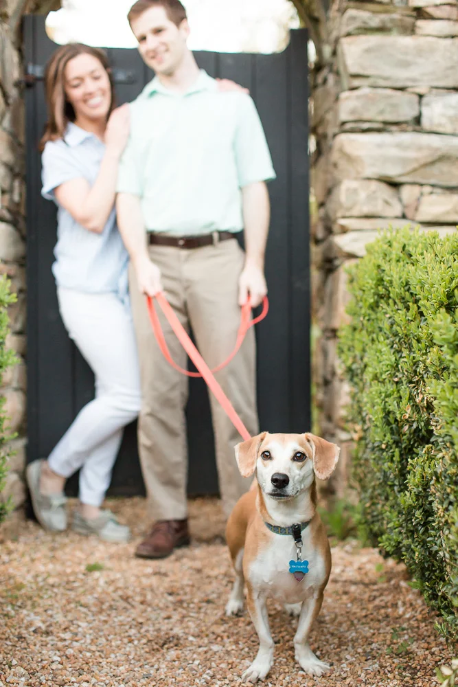 Sweet dog during an engagement session | Warrenton, Virginia Dog Photographer