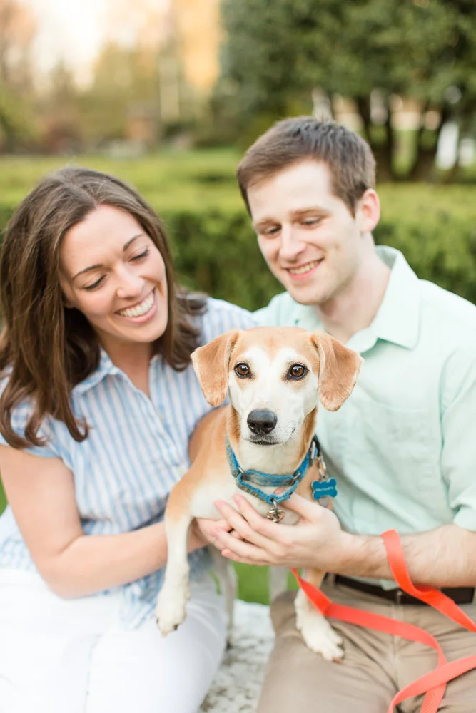 Best engagement dog pictures | Warrenton Virginia Engagement Photographer | Northern Virginia Dog Photographer