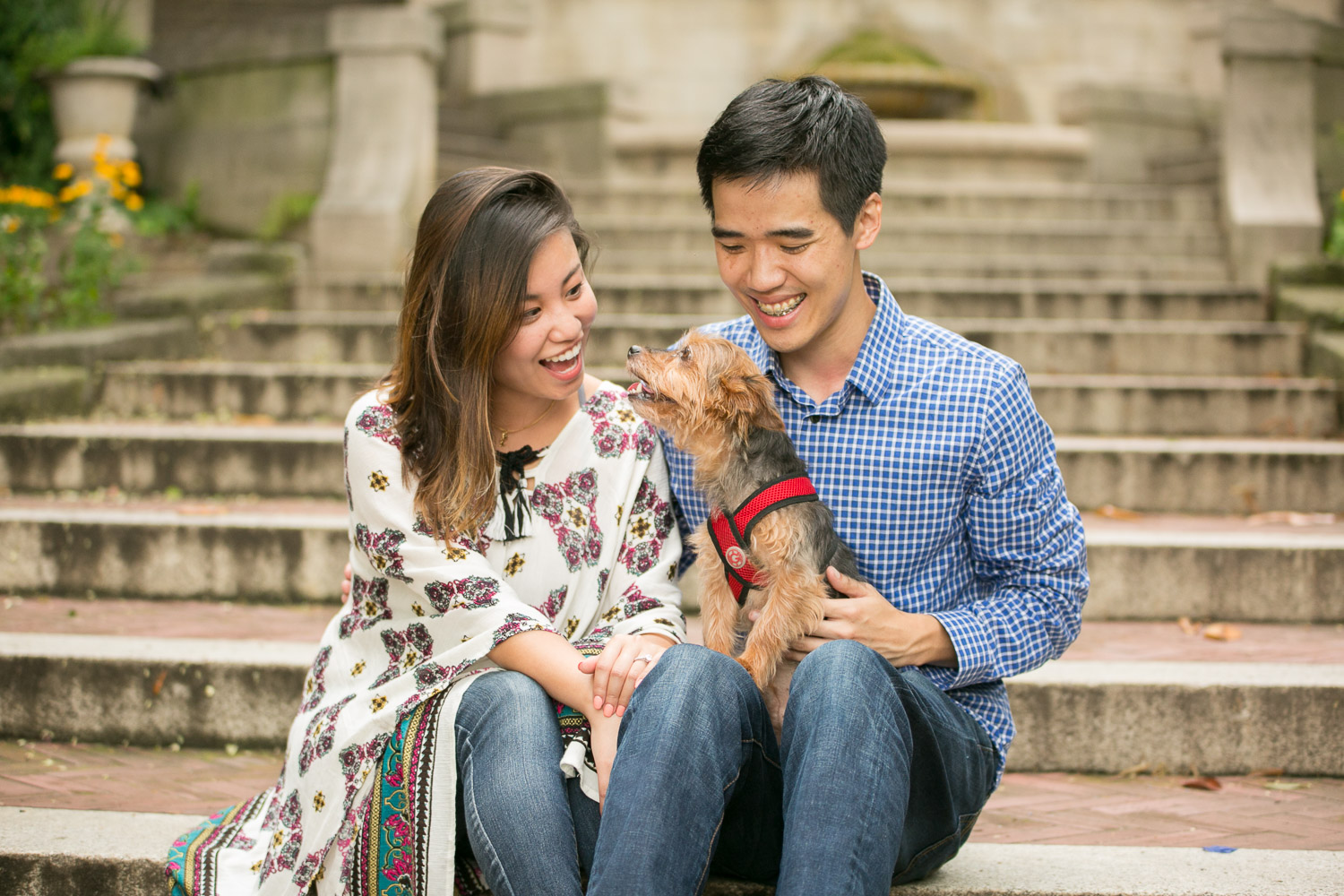 Washington DC engagement pictures with Yorkie