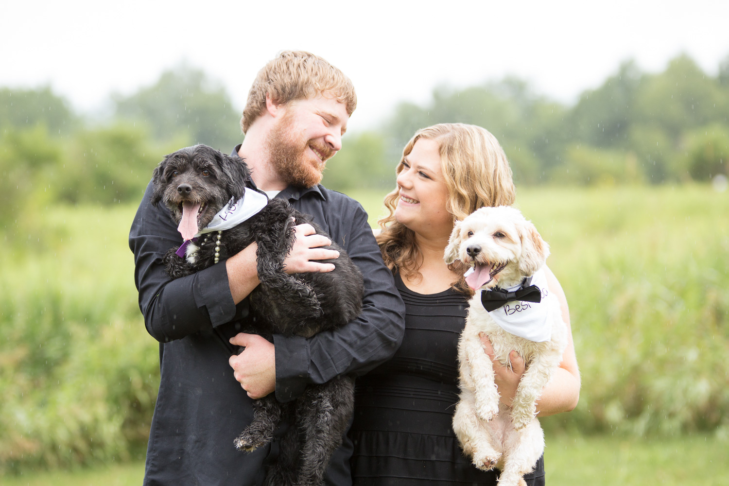 Family dog photography in Northern Virginia