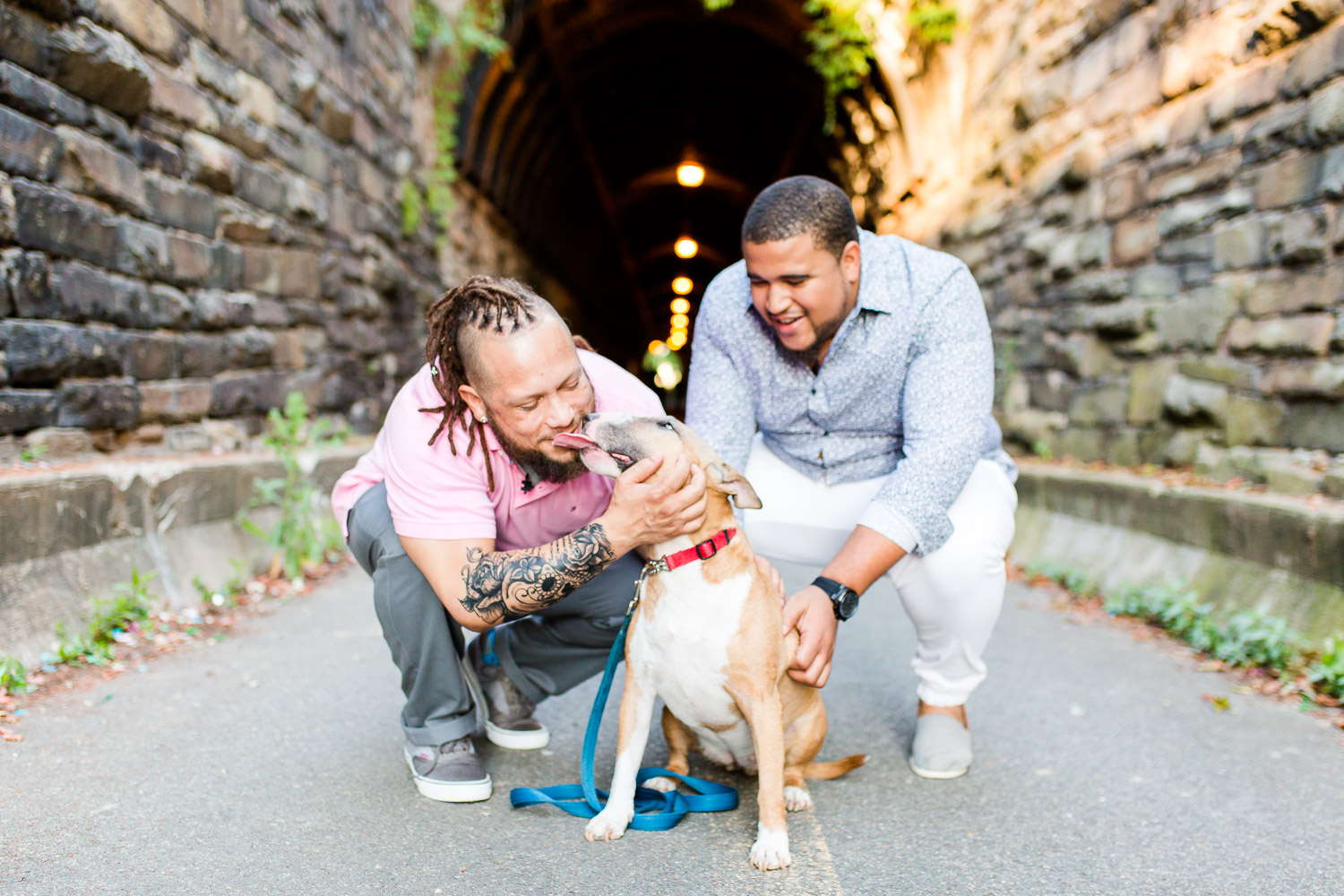 Dog photos in Old Town Alexandria