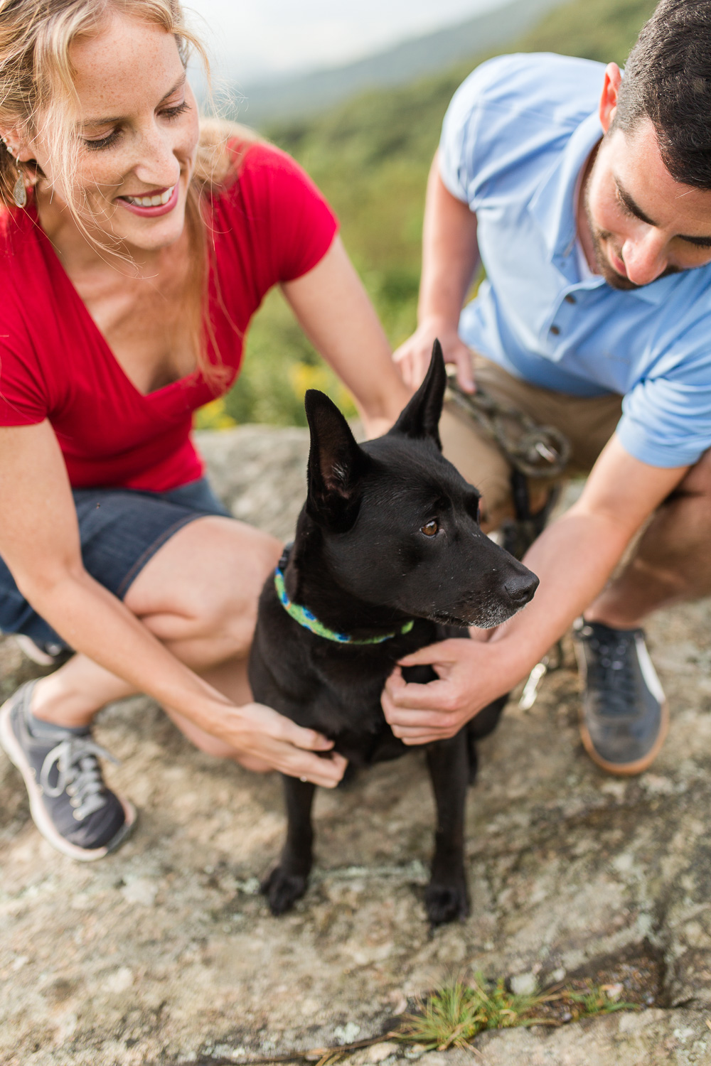 Dog photos at Shenandoah National Park