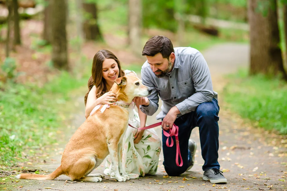 reston-virginia-engagement-photos-40.jpg