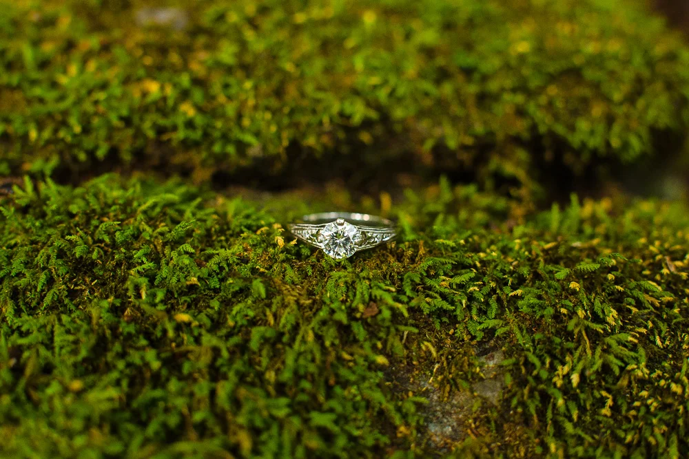 scotts-run-engagement-photos-53.jpg
