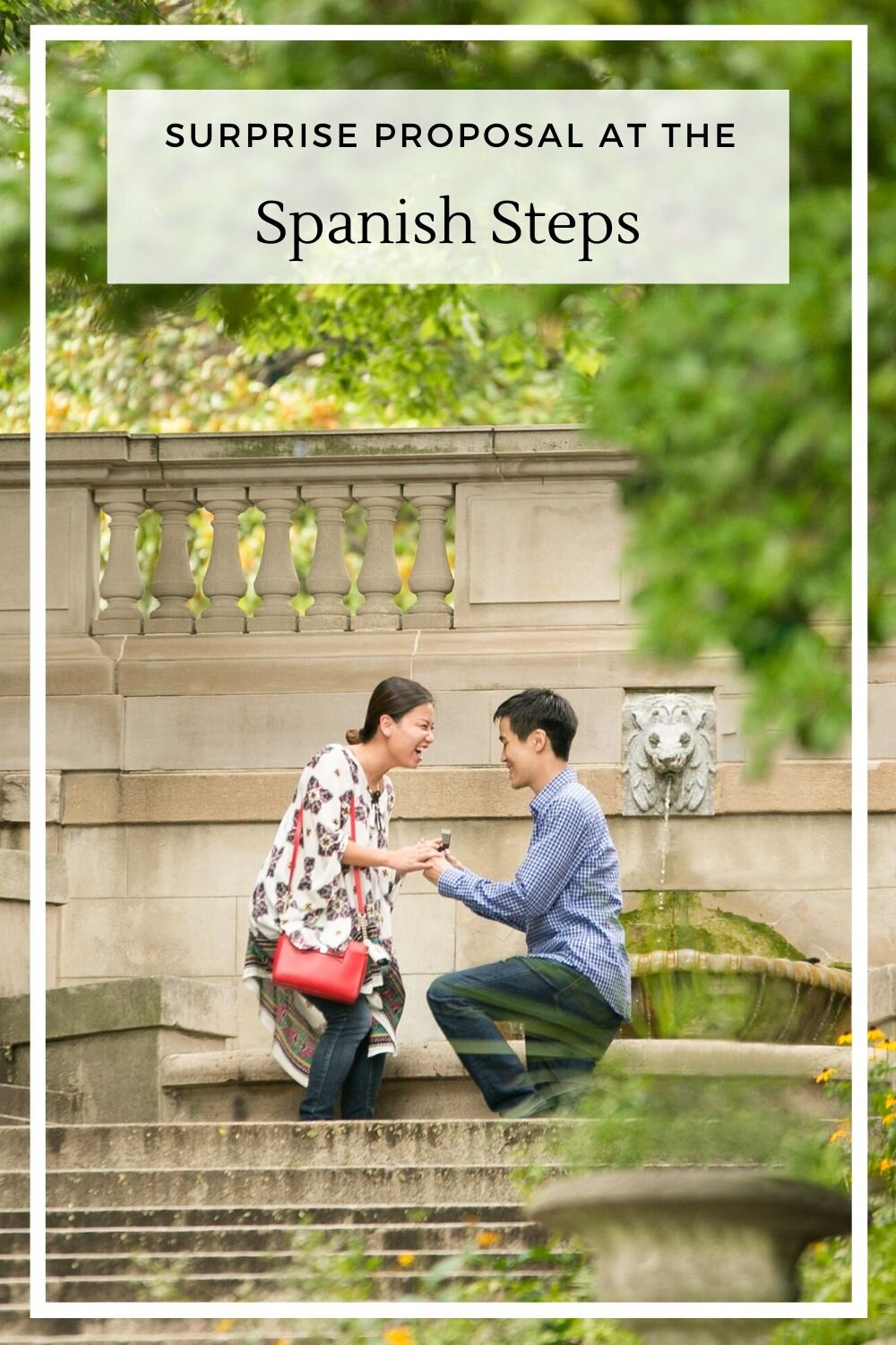 DC Spanish Steps surprise proposal