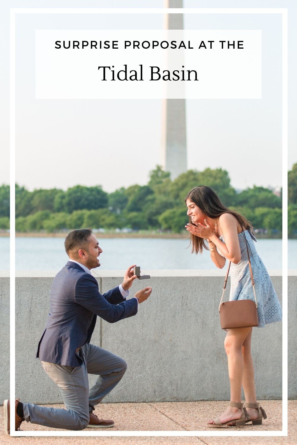 Surprise proposal photography at the Tidal Basin