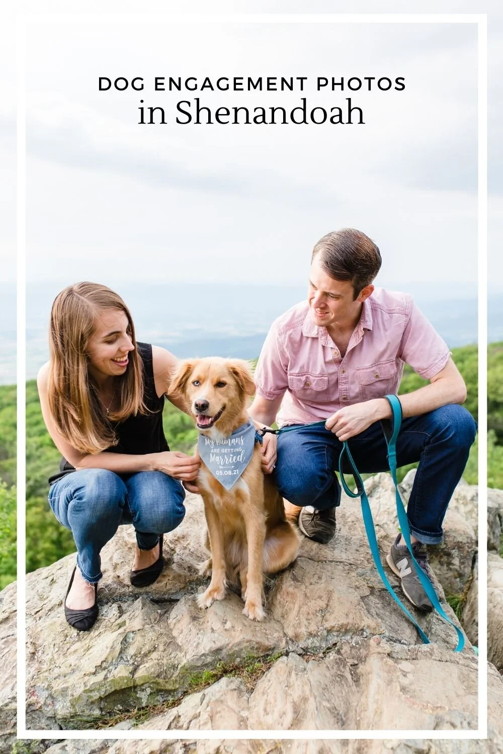 Shenandoah dog engagement photos