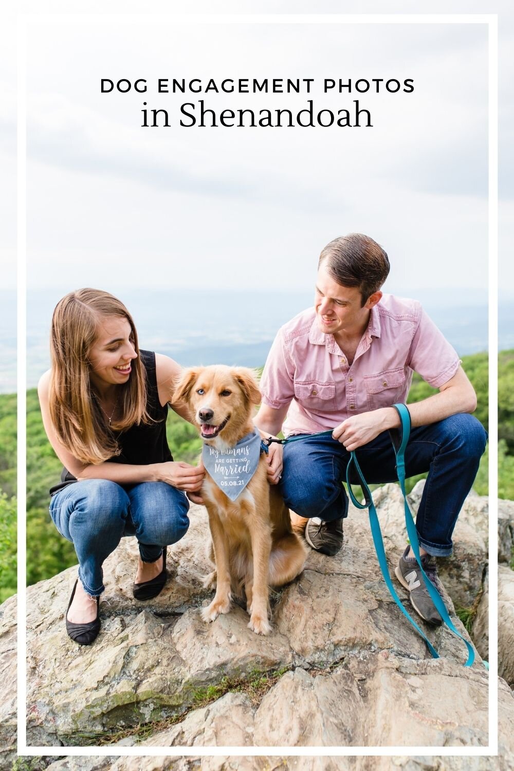 Shenandoah engagement photos with dog