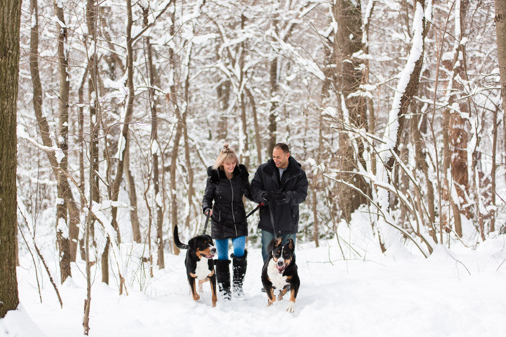 snow-engagement-photos-with-dogs-northern-virginia-11.jpg