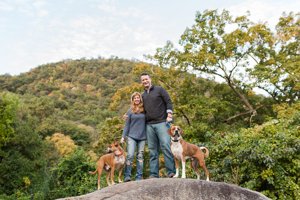 hudson-valley-engagement-photos-with-dogs-58.jpg