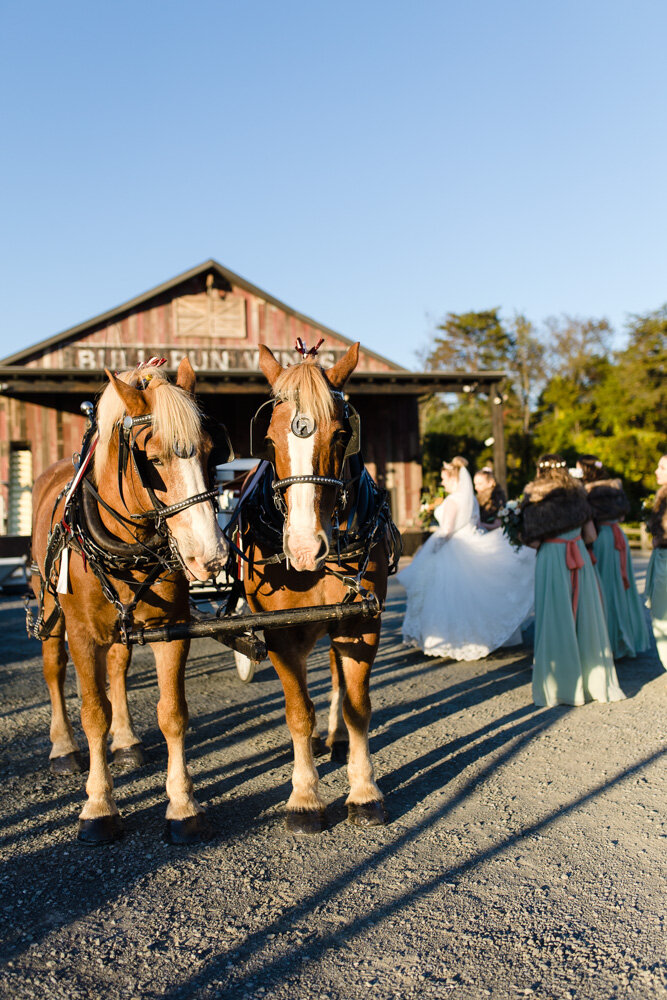 bull-run-winery-wedding-pictures-35.jpg