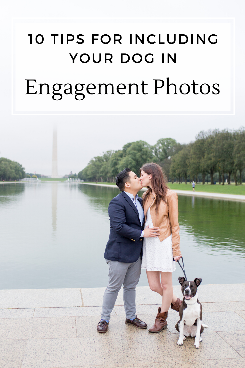 tips for dog engagement photos png.png