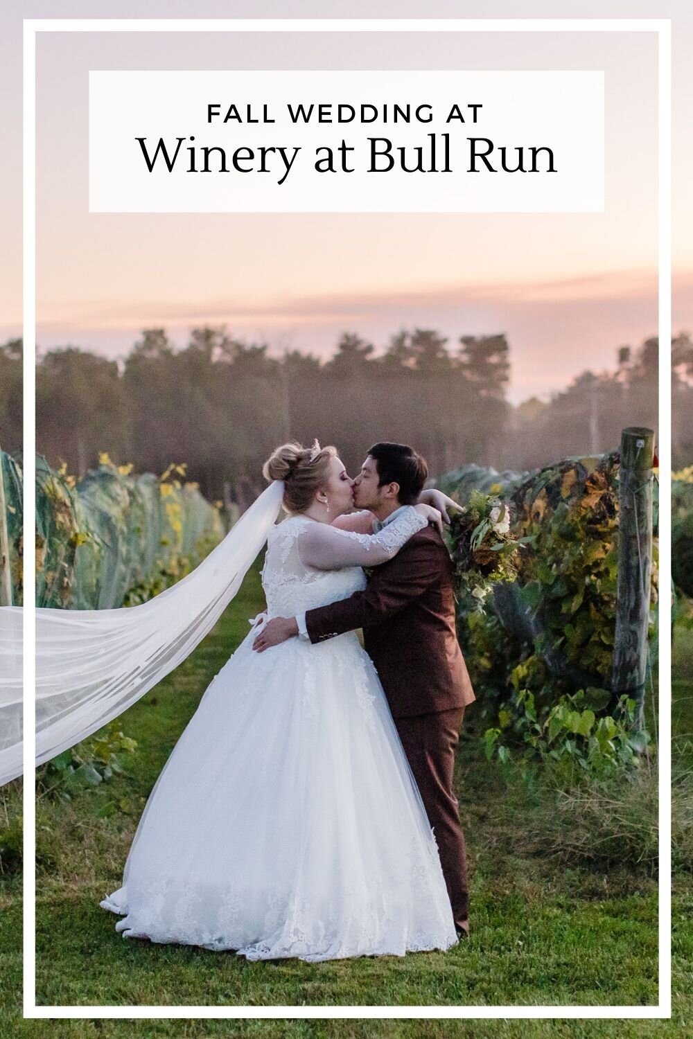 fall winery at bull run fall wedding.jpg