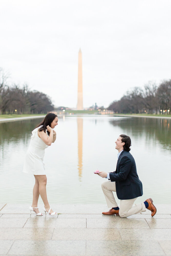 DC Cherry Blossom Surprise Proposal Photos | Washington, DC | Jordan ...