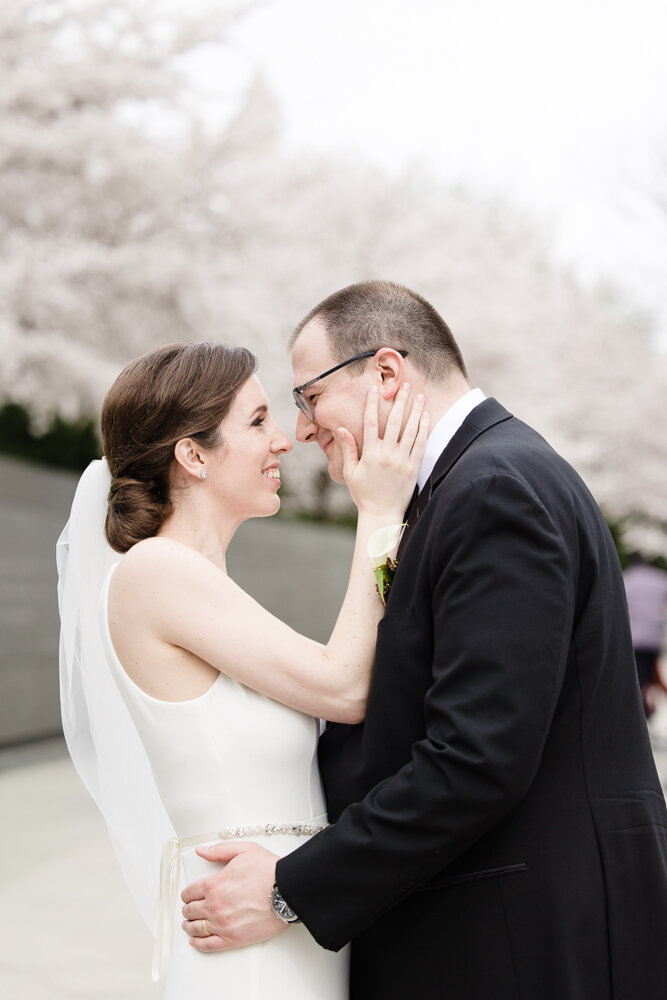 Bride and groom wedding photo at the DC cherry blossoms