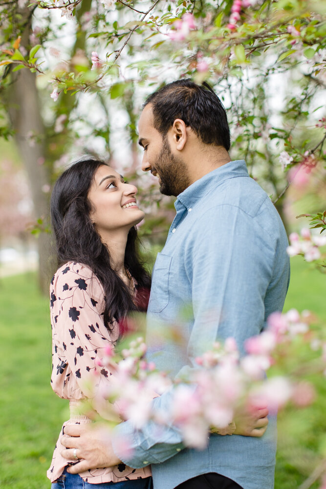 Indian engagement photography at the DC cherry blossoms