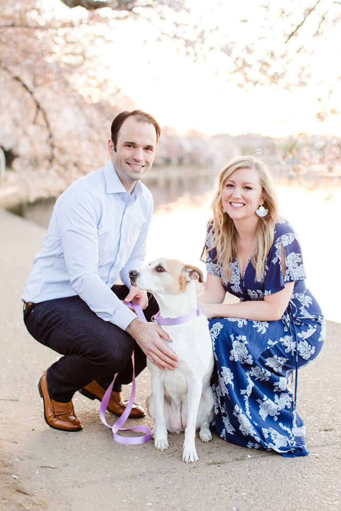 Cherry blossom engagement with dog