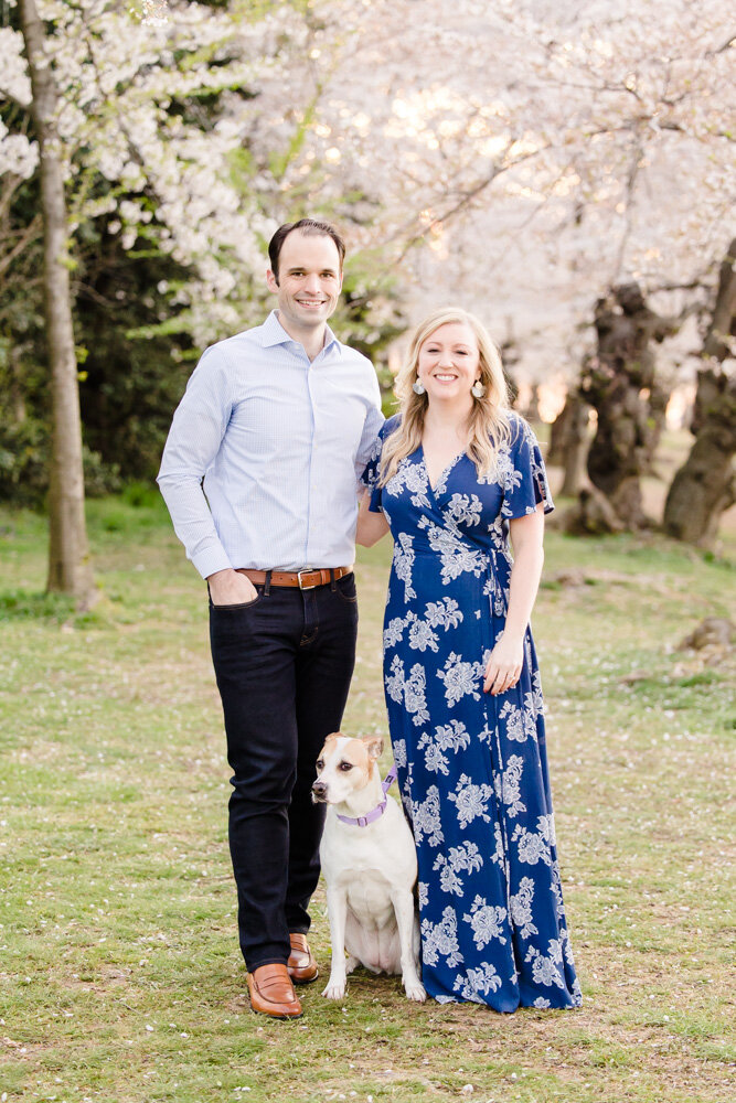 Smiling engaged couple with their dog at the DC cherry blossoms