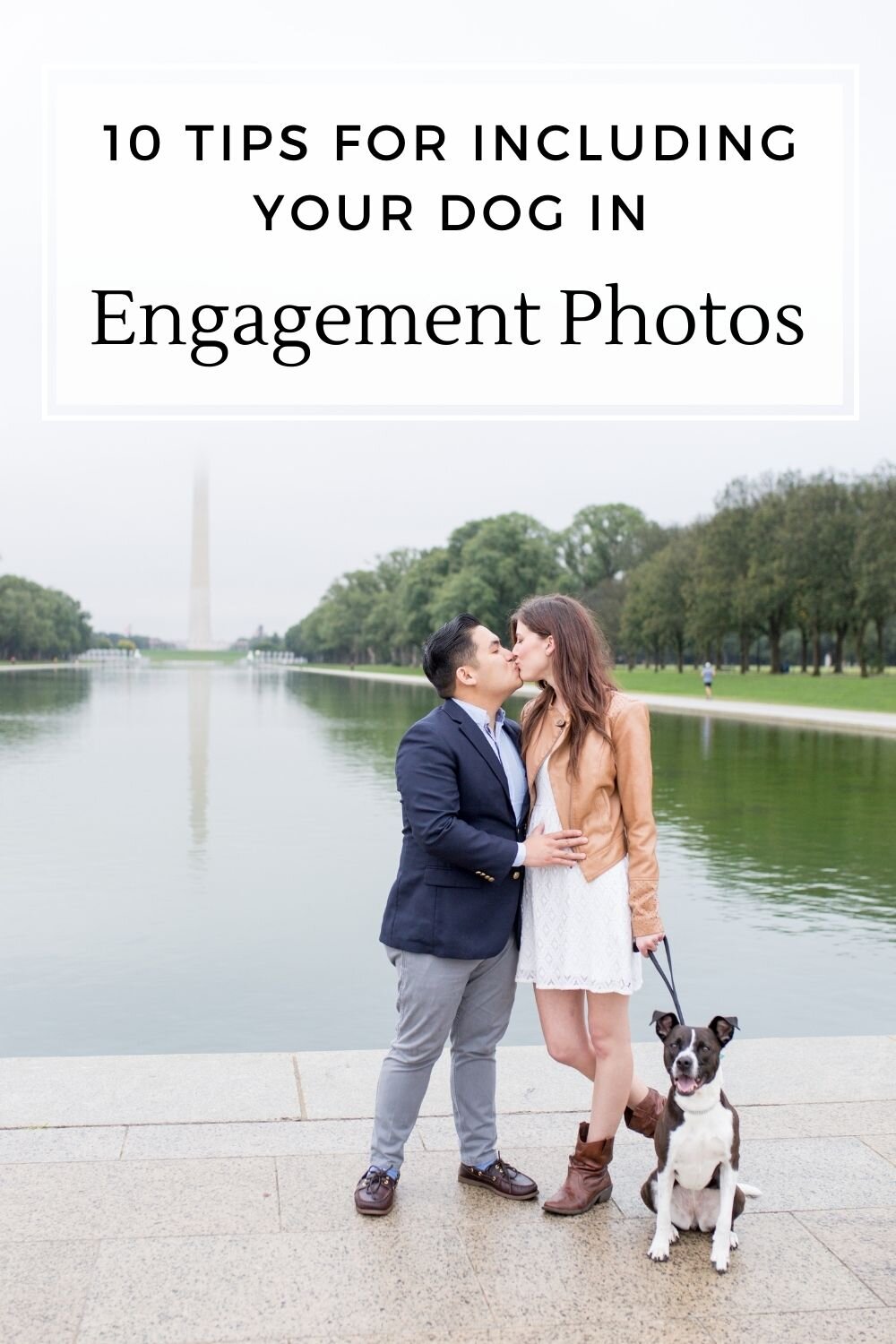 tips for dog engagement photos.jpg
