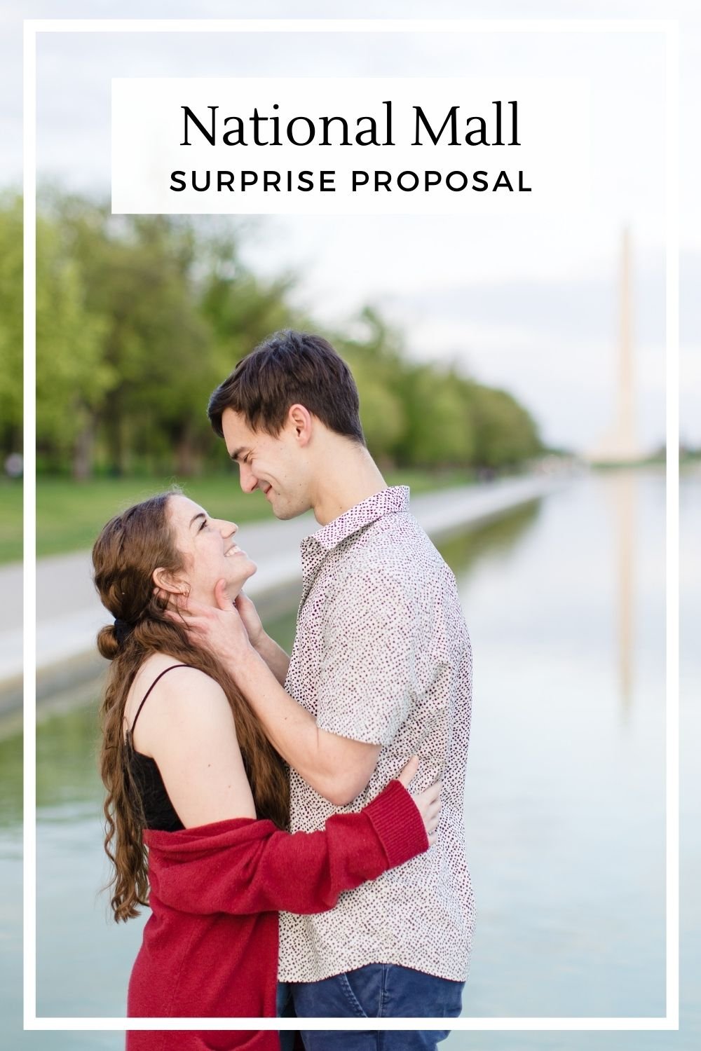 national mall surprise proposal 4.jpg