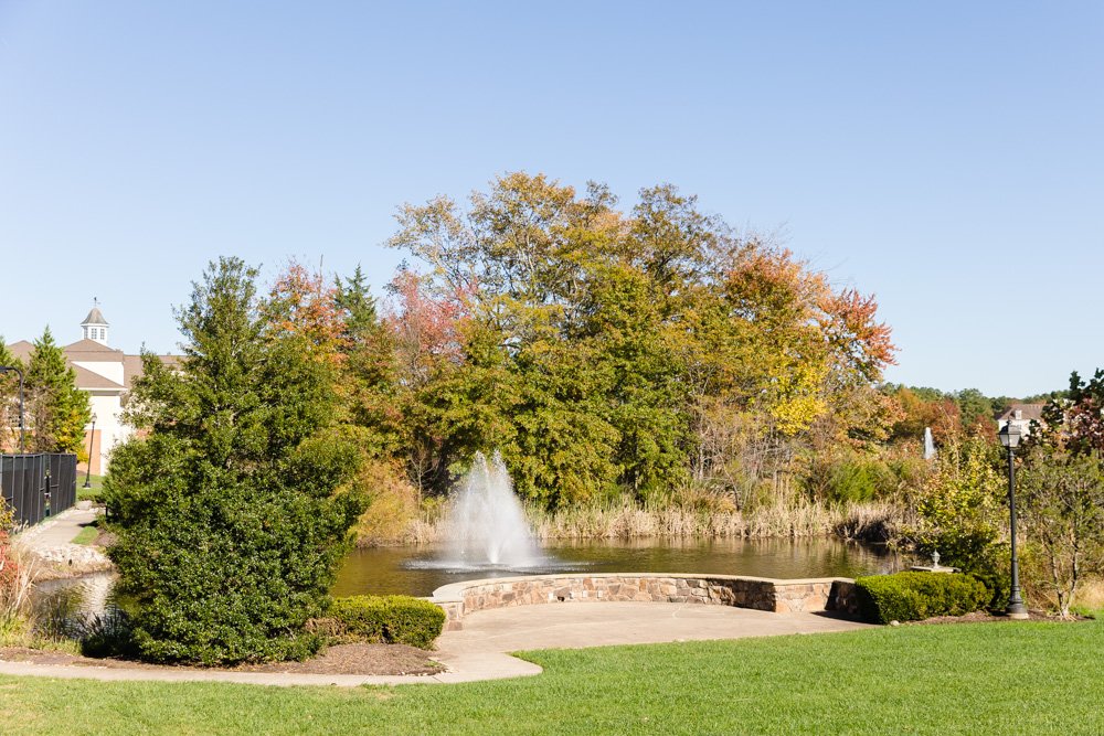 Pond with fountain at Regency at Dominion Valley
