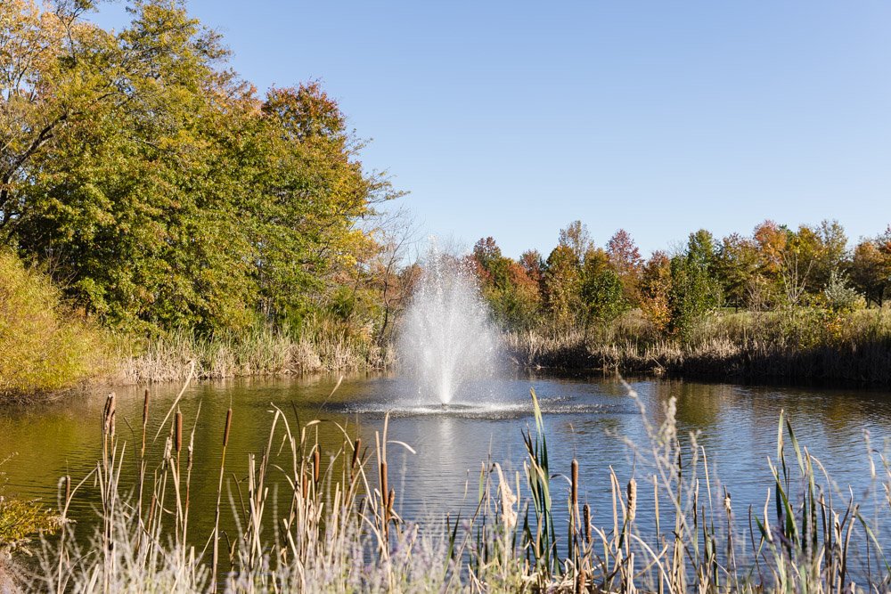 Scenic views at Regency at Dominion Valley in Haymarket, VA