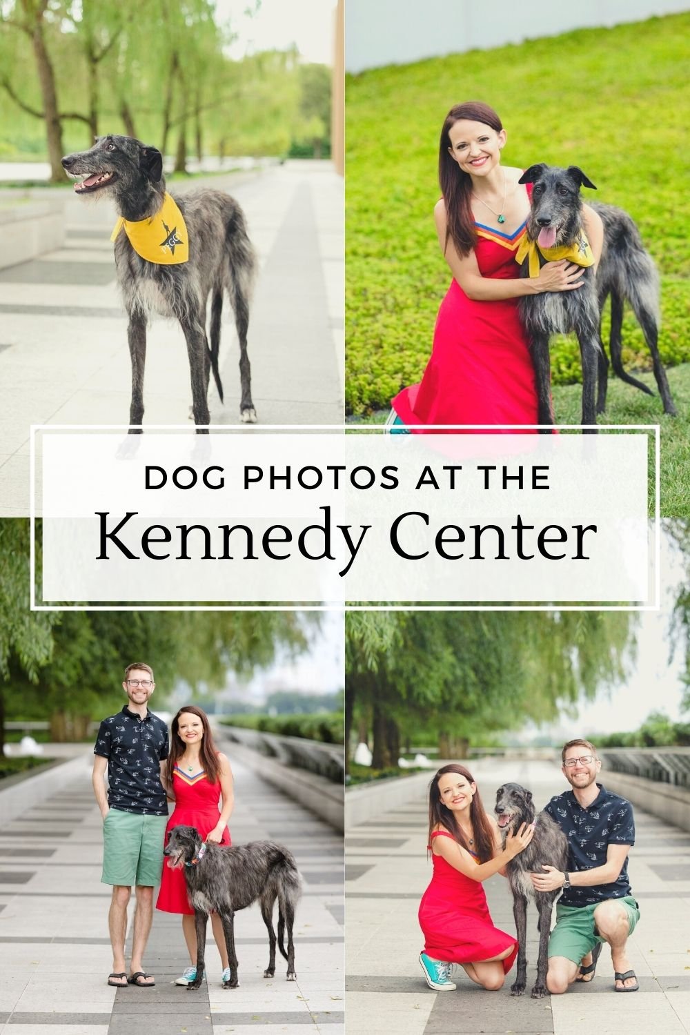 kennedy center dog photos.jpg