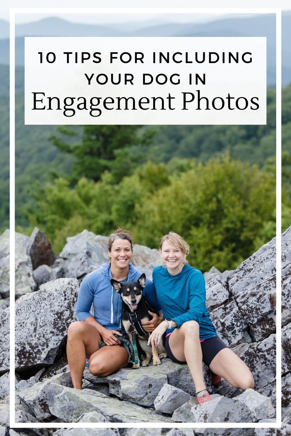 Tips to include your dog in engagement photos