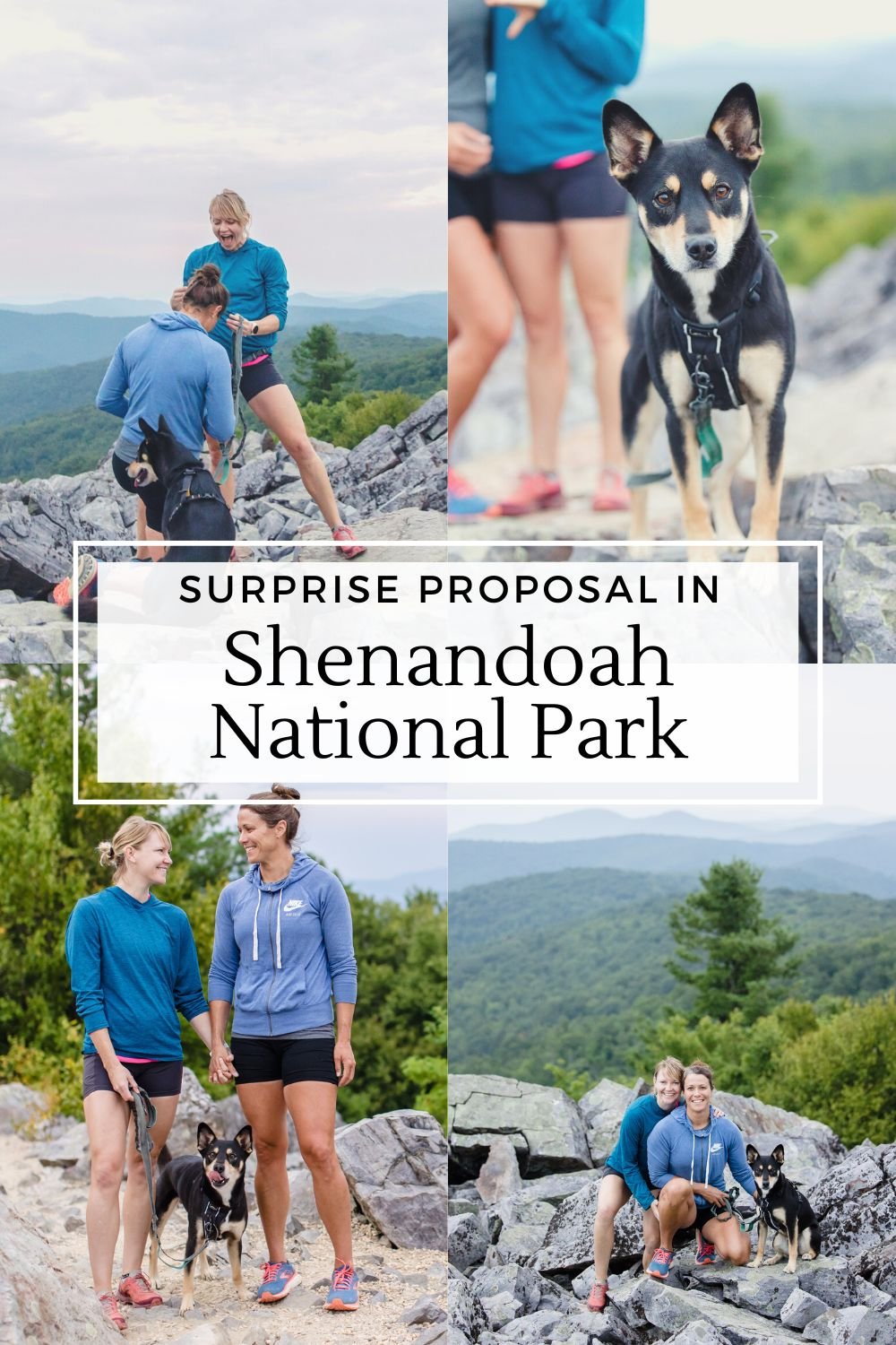 Surprise proposal in Shenandoah