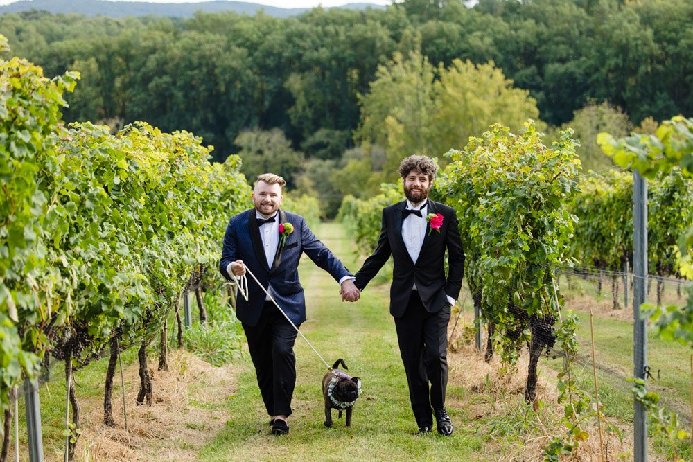 cana-vineyards-wedding-photos-middleburg-va-64.jpg