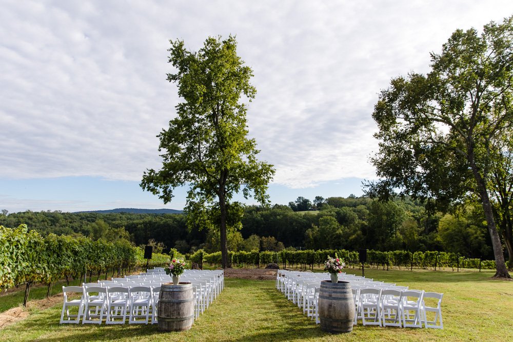 cana-vineyards-wedding-photos-middleburg-va-74.jpg