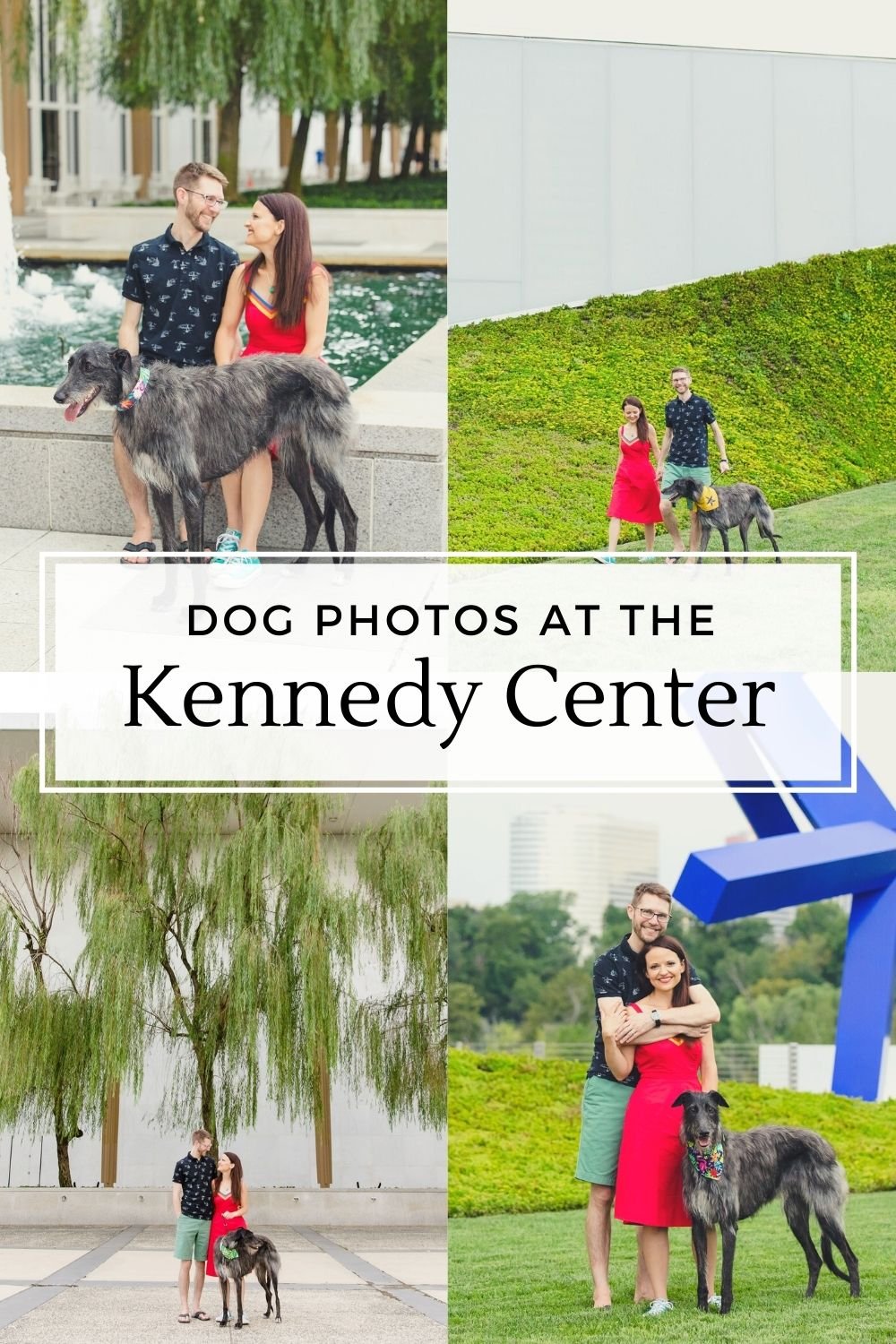 kennedy center dog photos 4.jpg