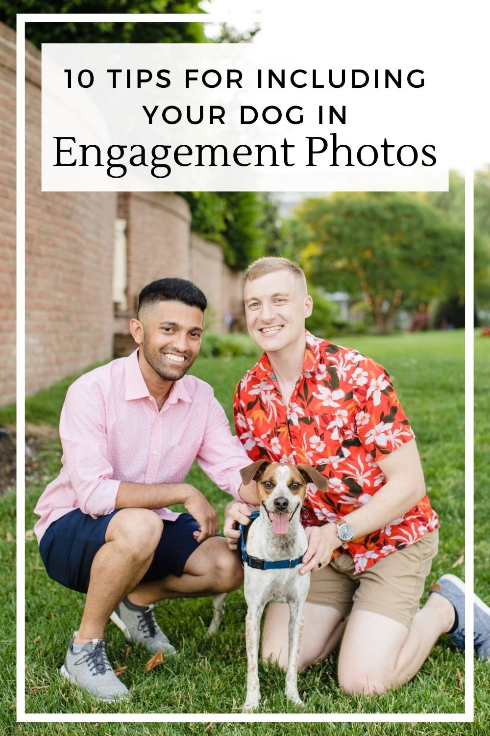 dog engagement photos 2.jpg