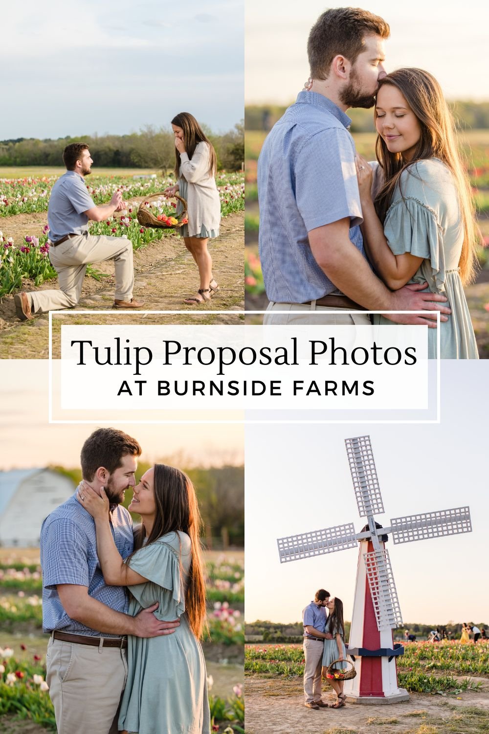 tulip engagement photos burnside farms 2.jpg