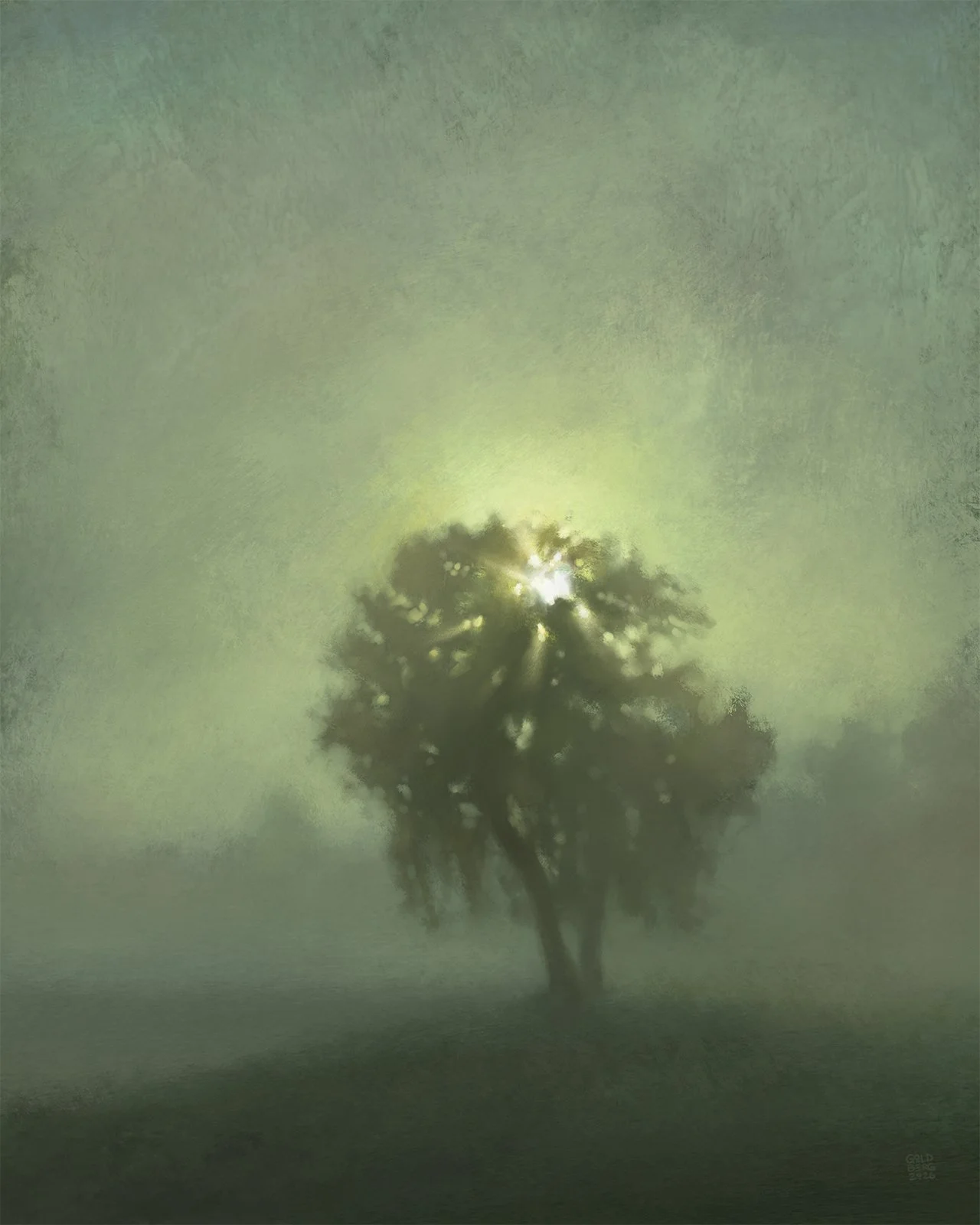 Foggy Morning