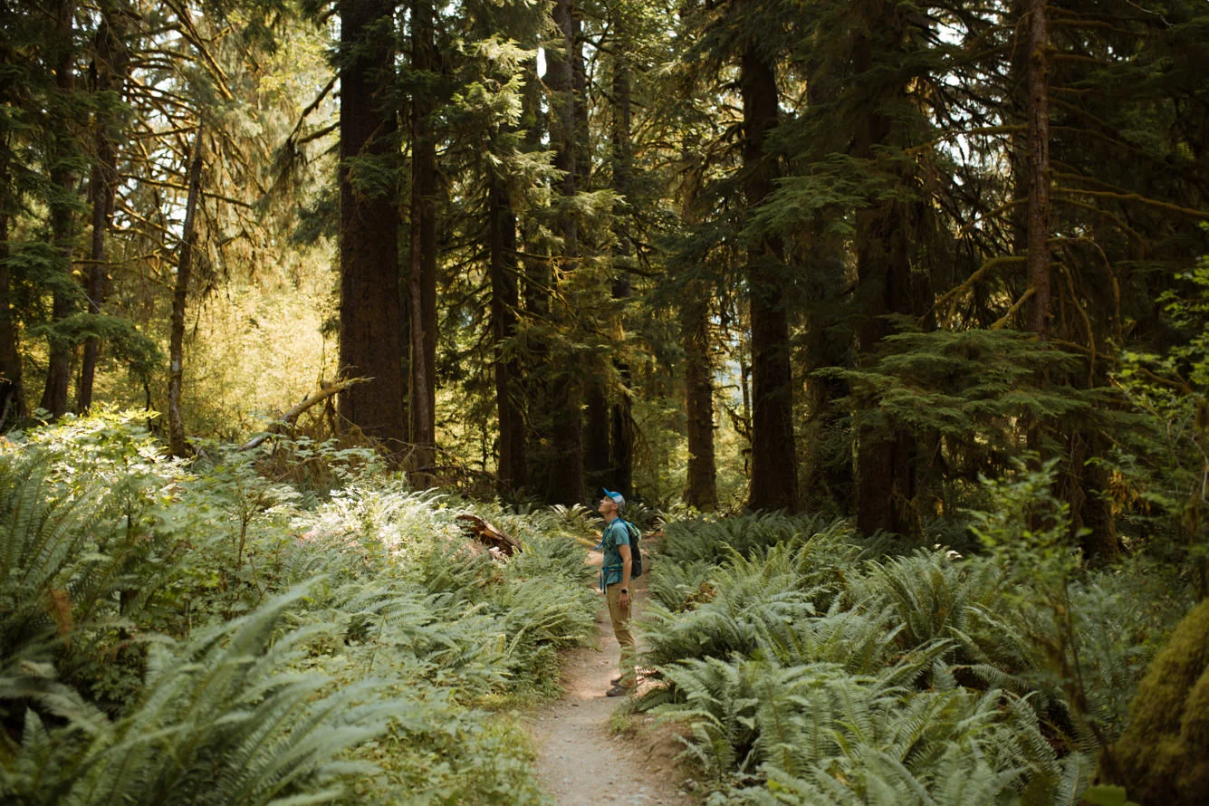 Olympic-National-Park.jpg