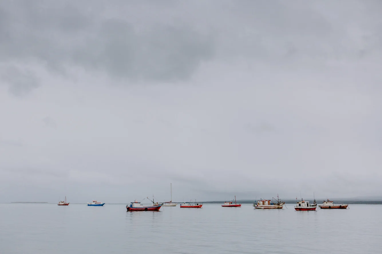 Punta-Arenas-Chile.jpg