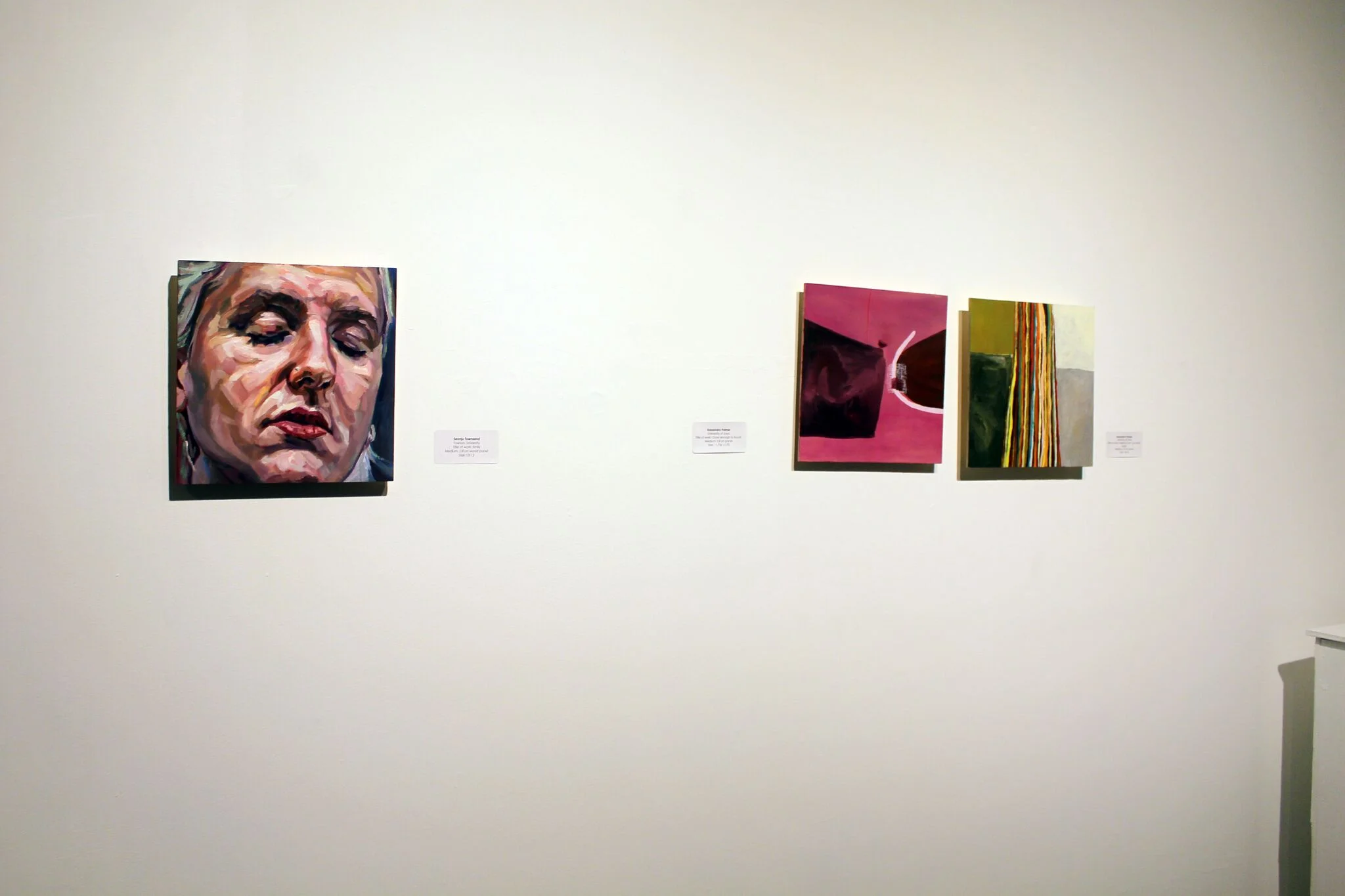 National Wet Paint MFA Biennial 2018