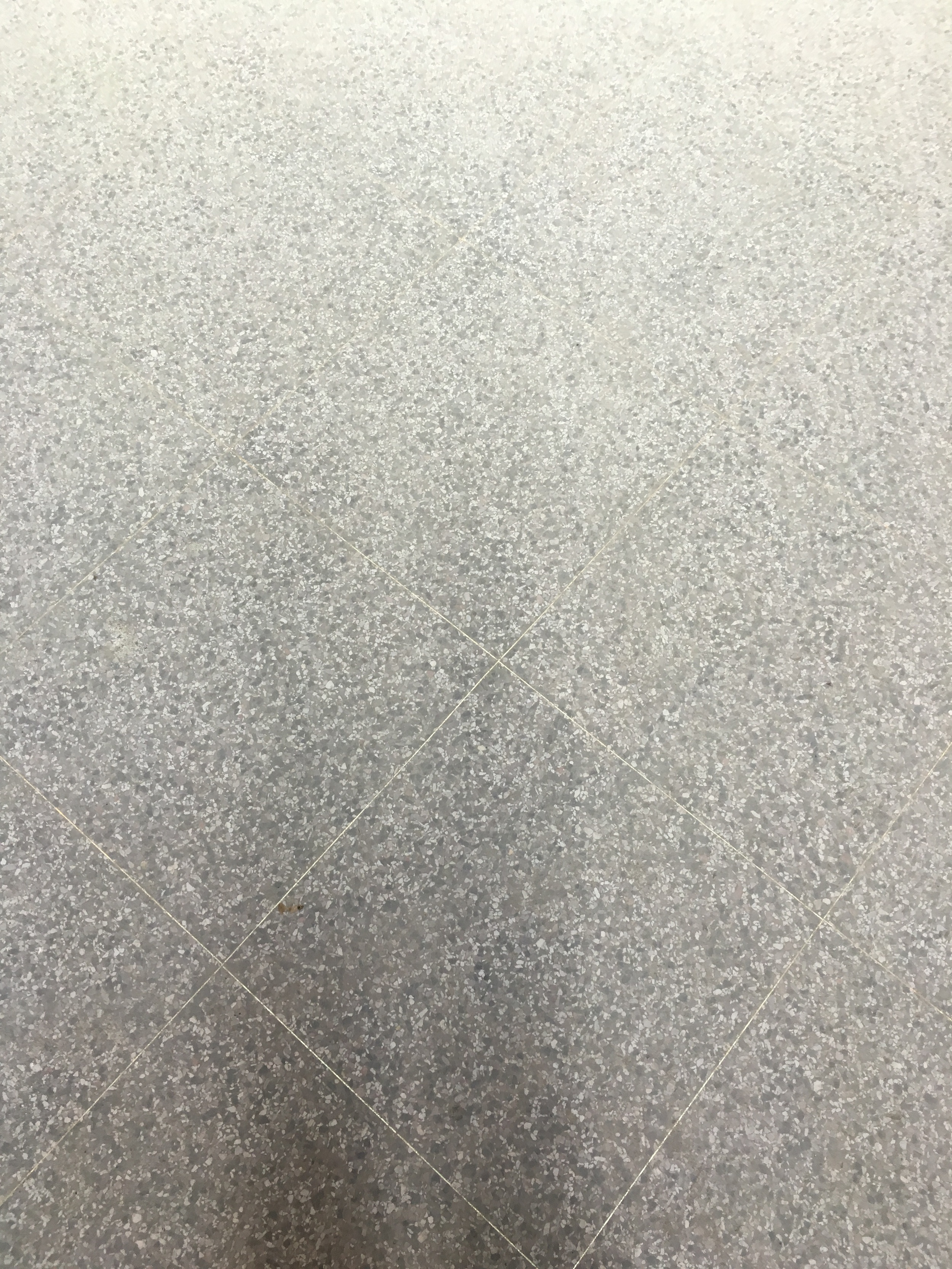 Terrazzo floors before polishing.