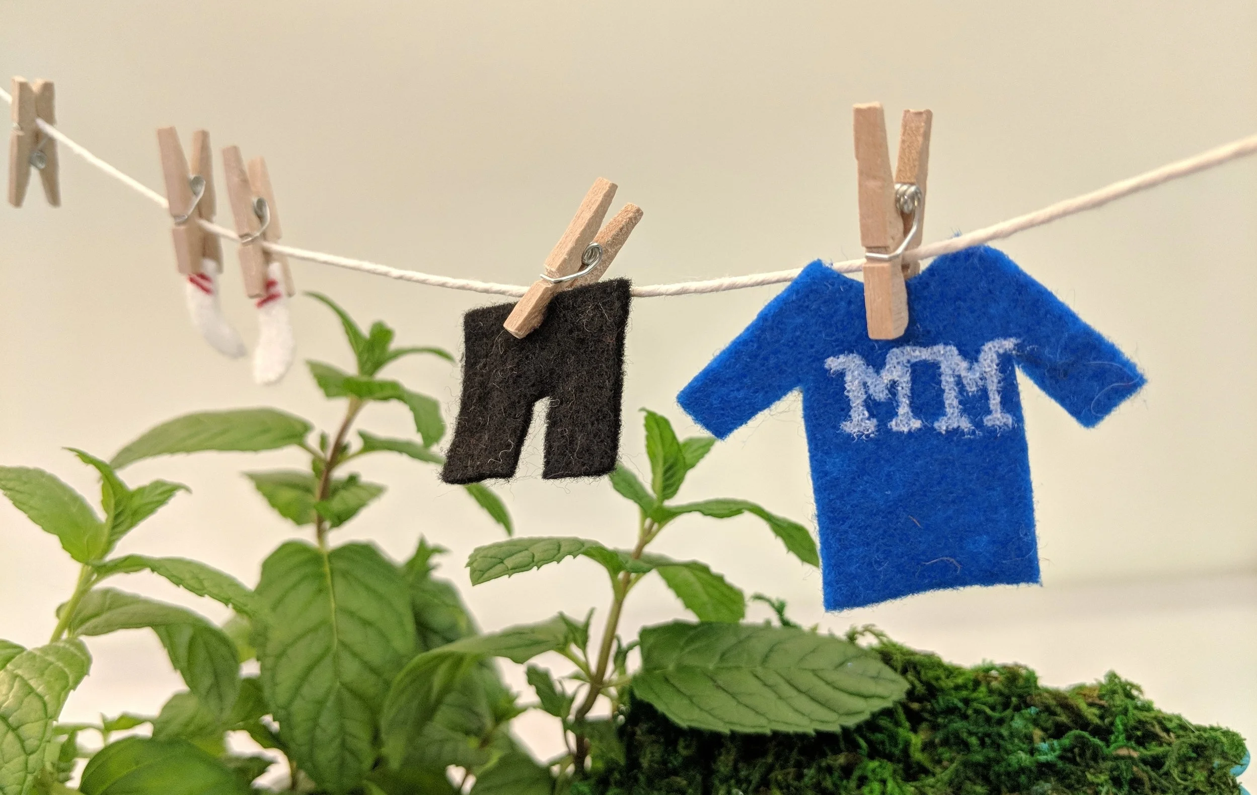 MVIMG_20180411_141811.jpg