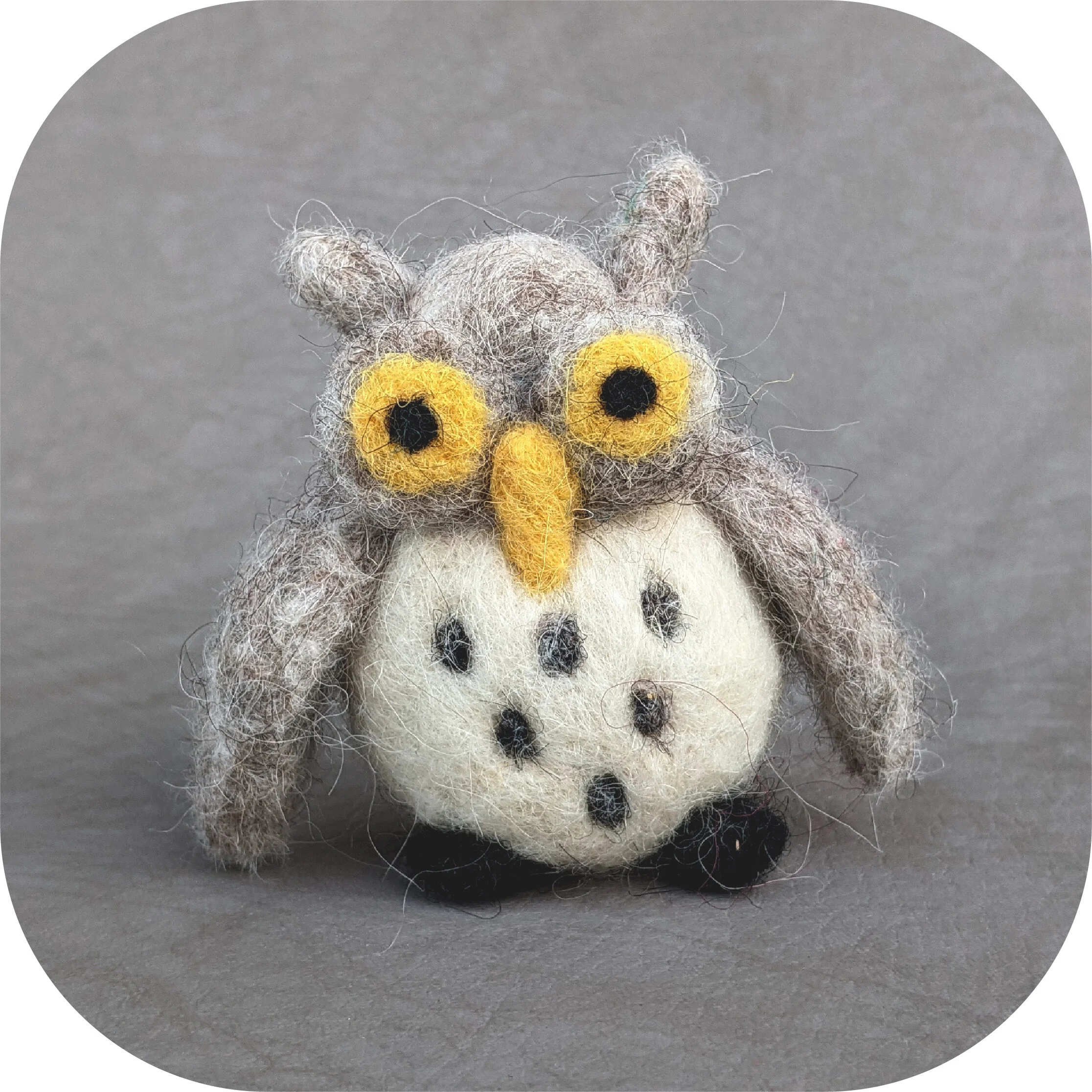 Needle Felting - Deluxe Kit