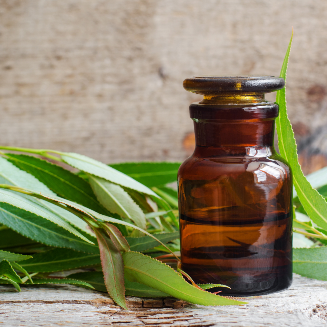 Willow Bark Extract Salicylic Acid's Gentle Alternative — Genie Supply