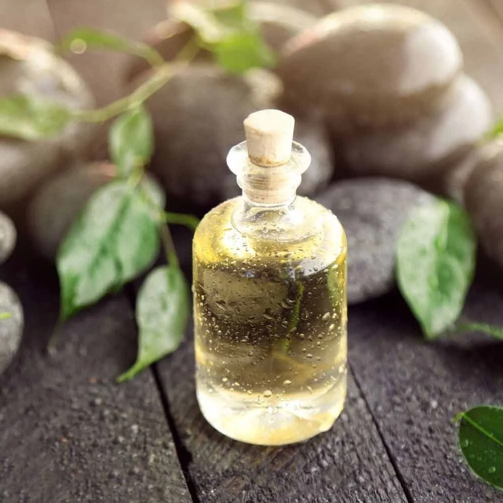 Green Tea Fragrance Oil Benefits and Uses — Genie Supply