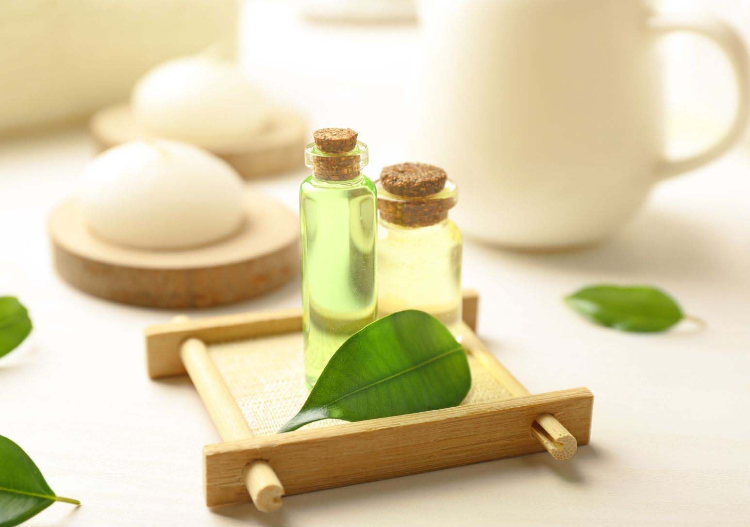Green Tea Fragrance Oil Benefits and Uses — Genie Supply