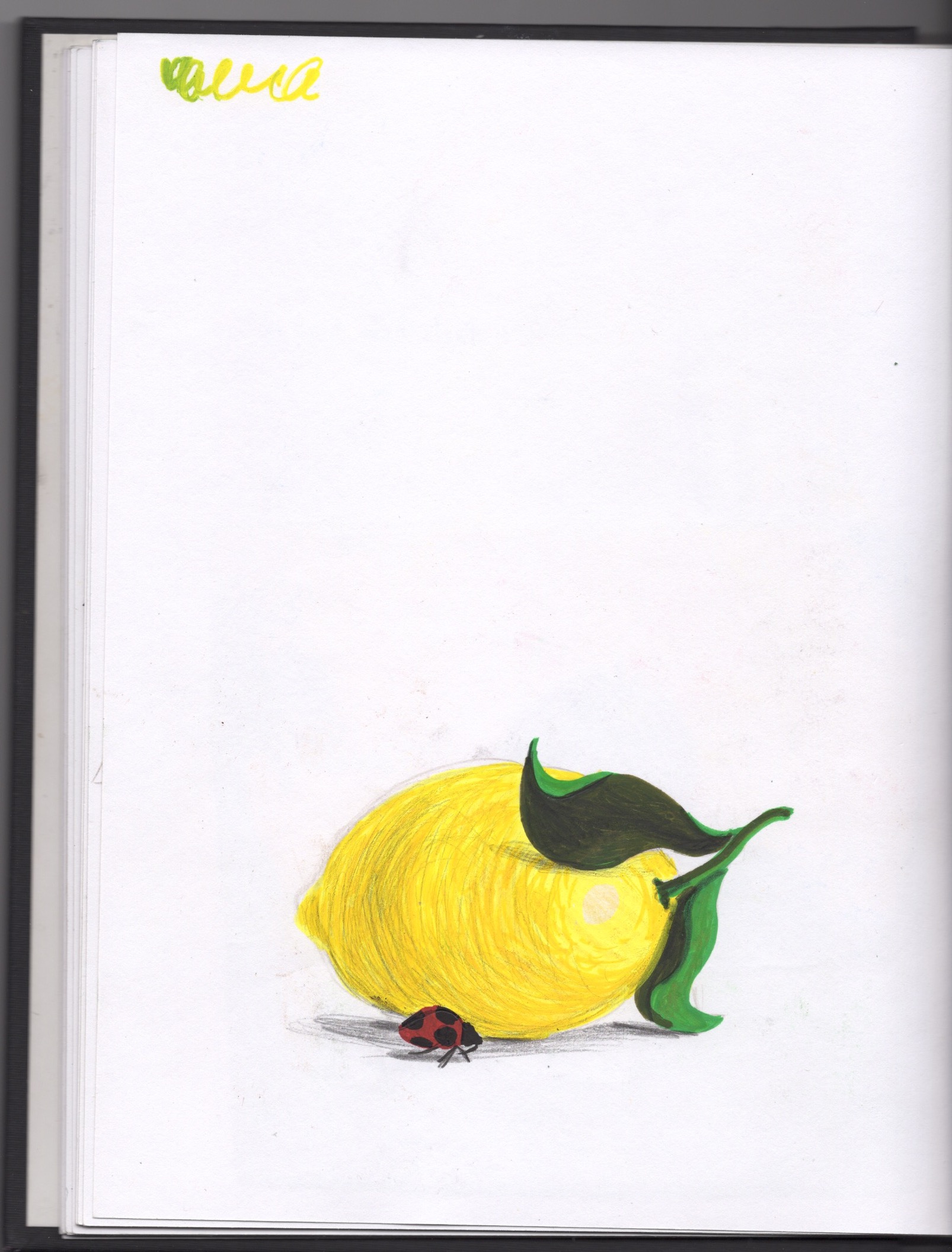 lemon and ladybug.jpeg