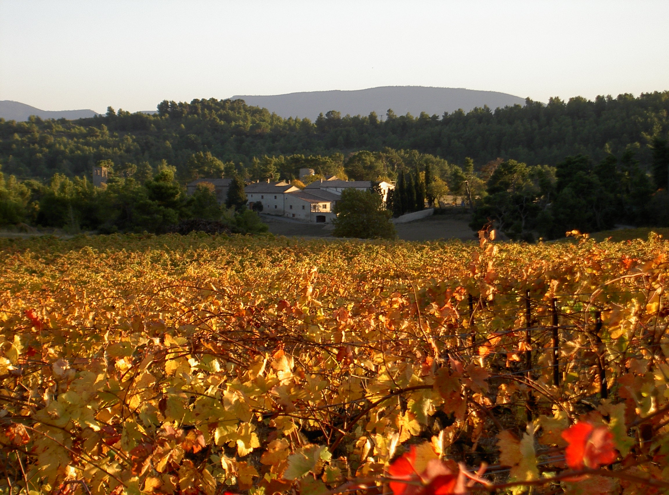 stjacques automne.JPG