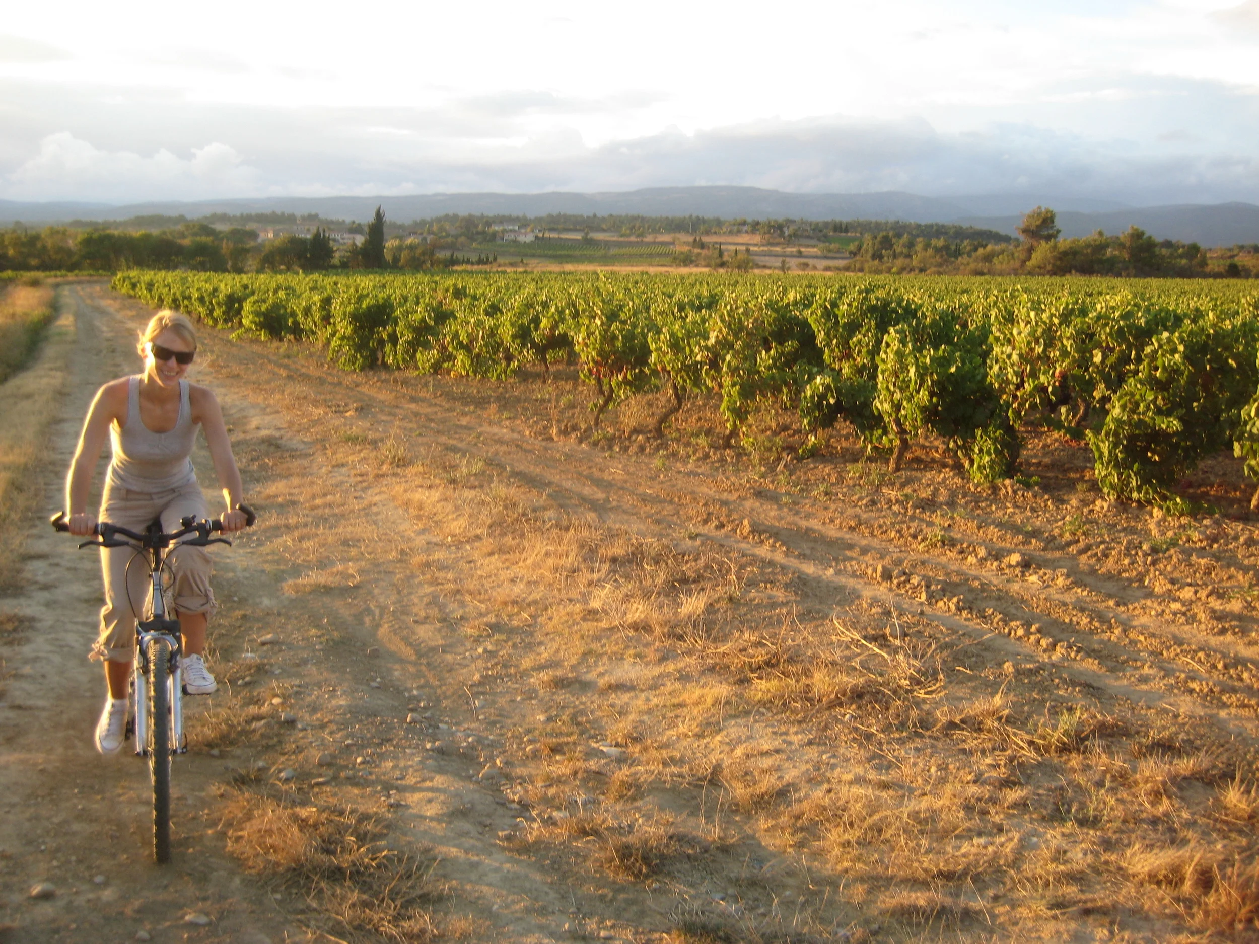 2007 Harvest Report
