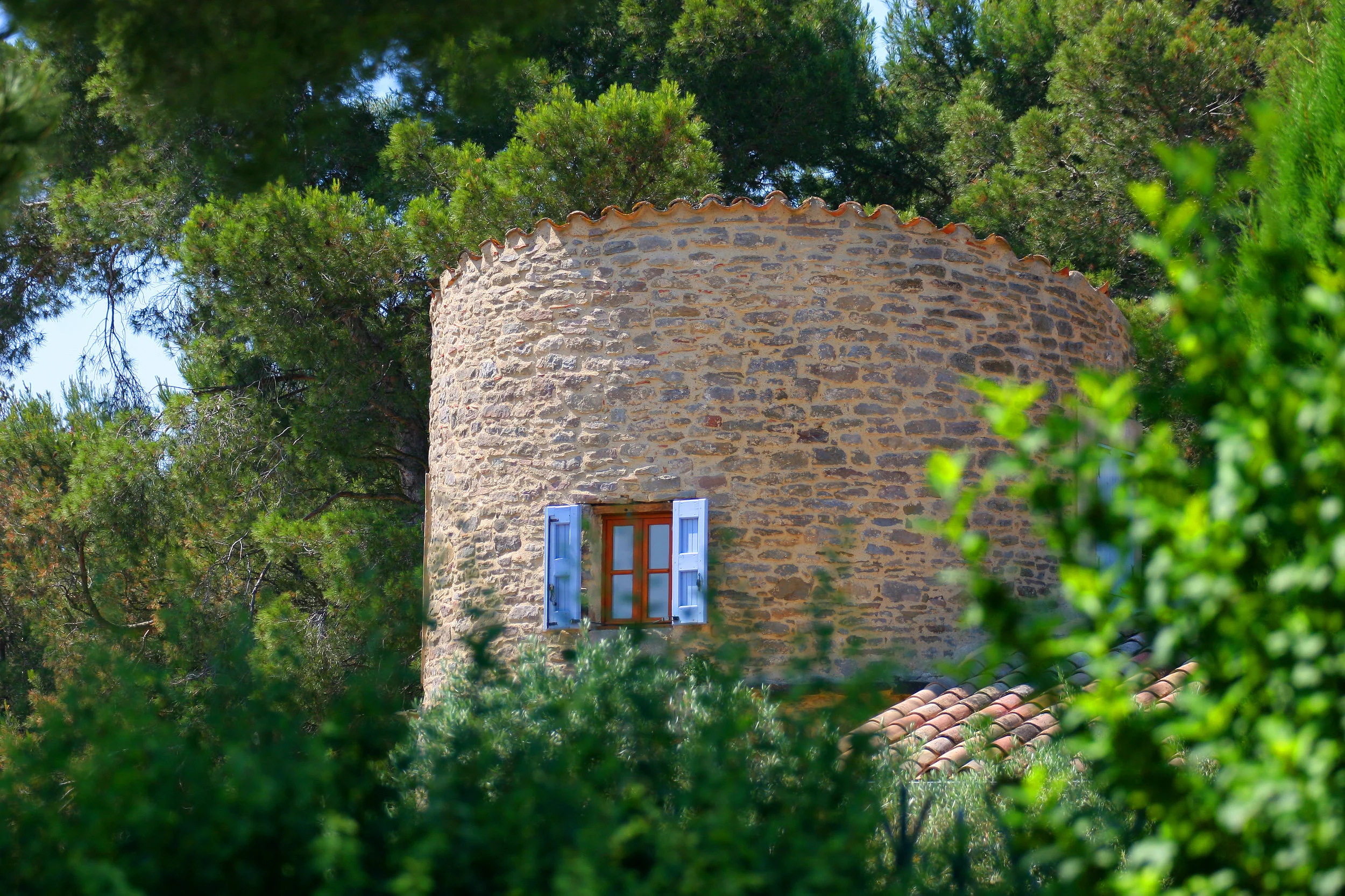 Le moulin (2).JPG